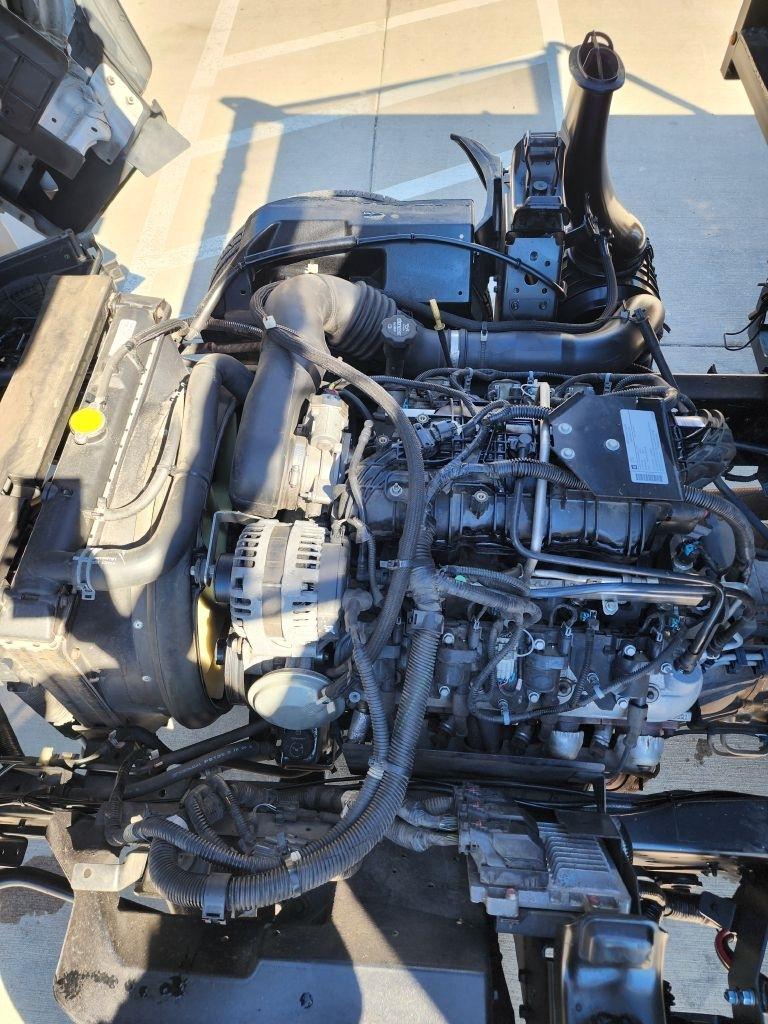 Isuzu NPR  2019