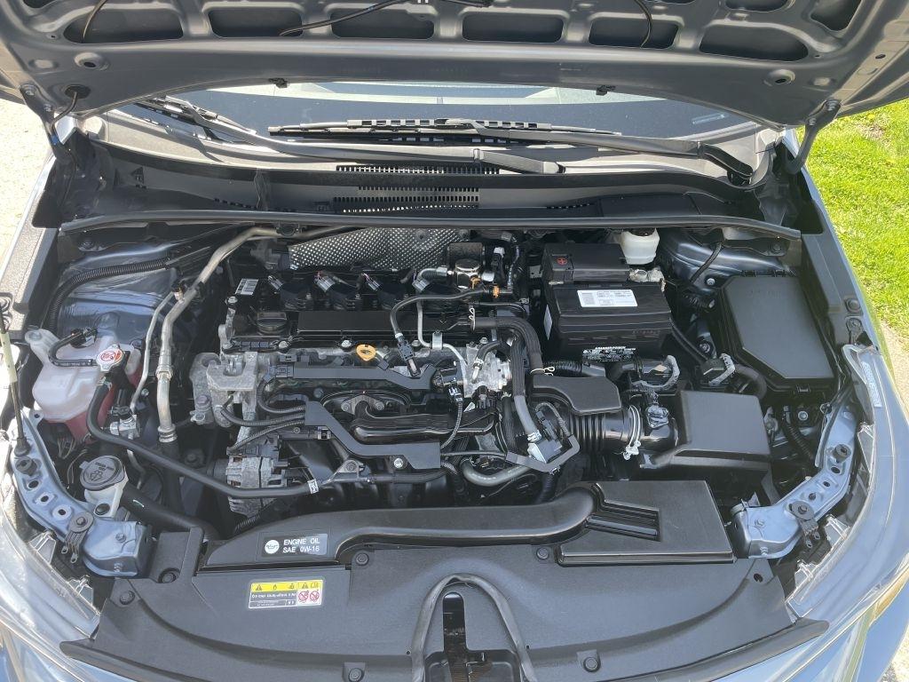 Toyota Corolla LE 2023