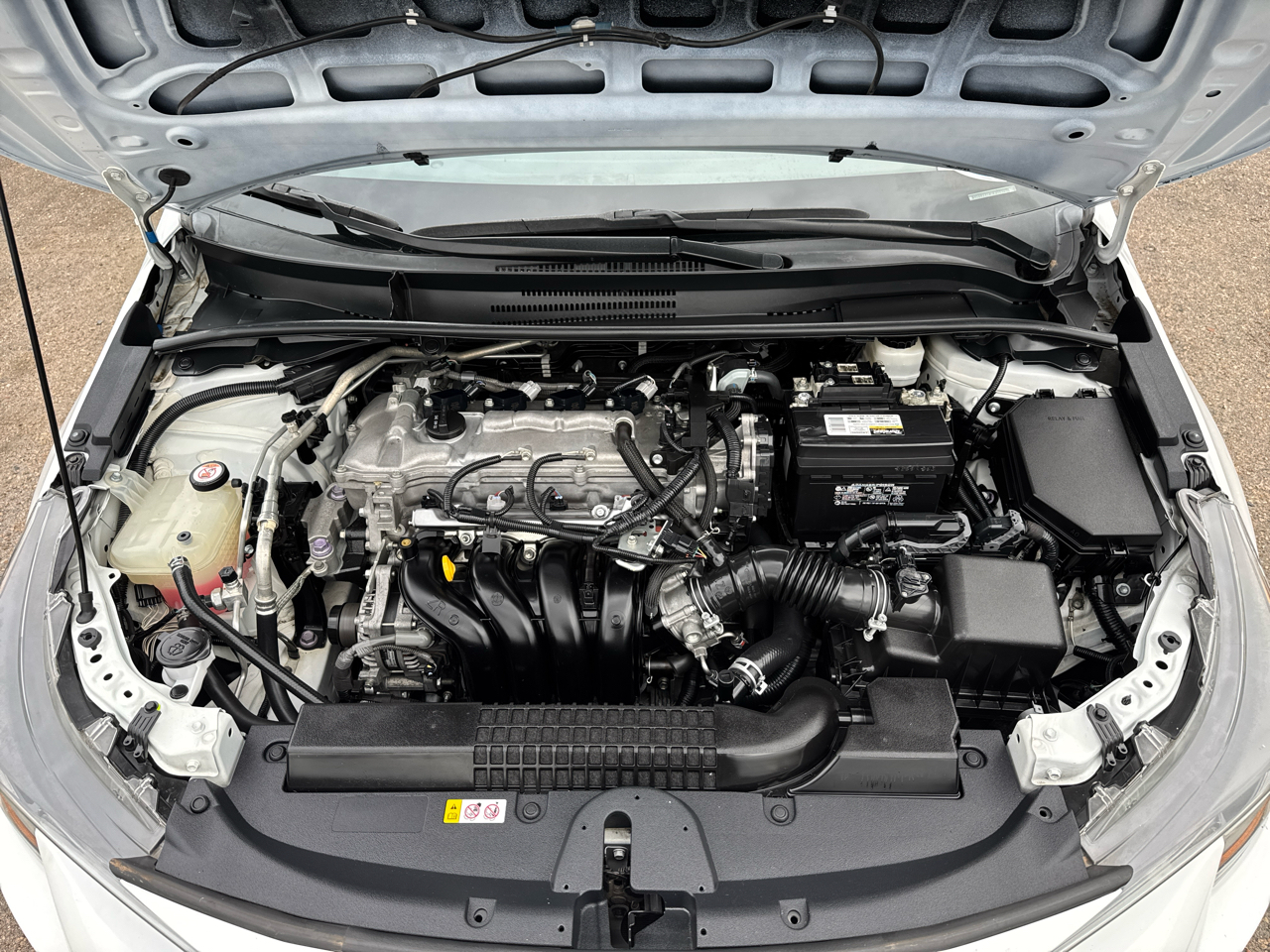 Toyota Corolla LE 2020