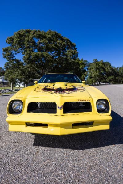 Pontiac Firebird  1976