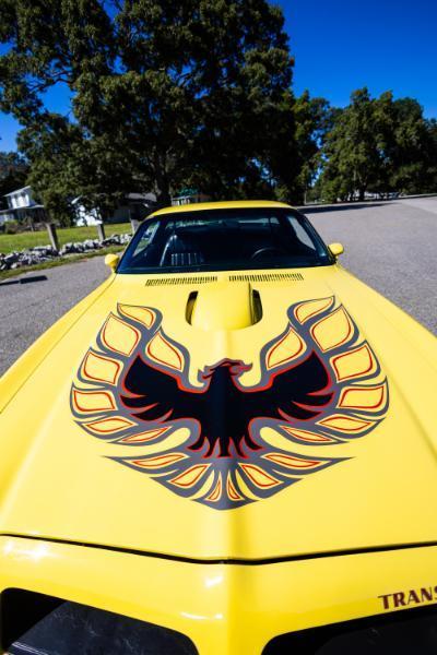 Pontiac Firebird  1976