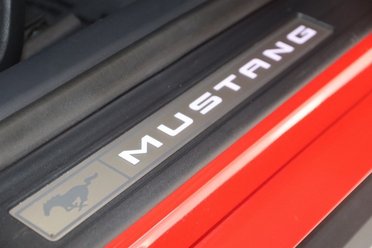 Ford Mustang  2024