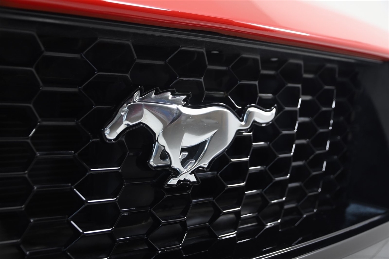Ford Mustang  2024