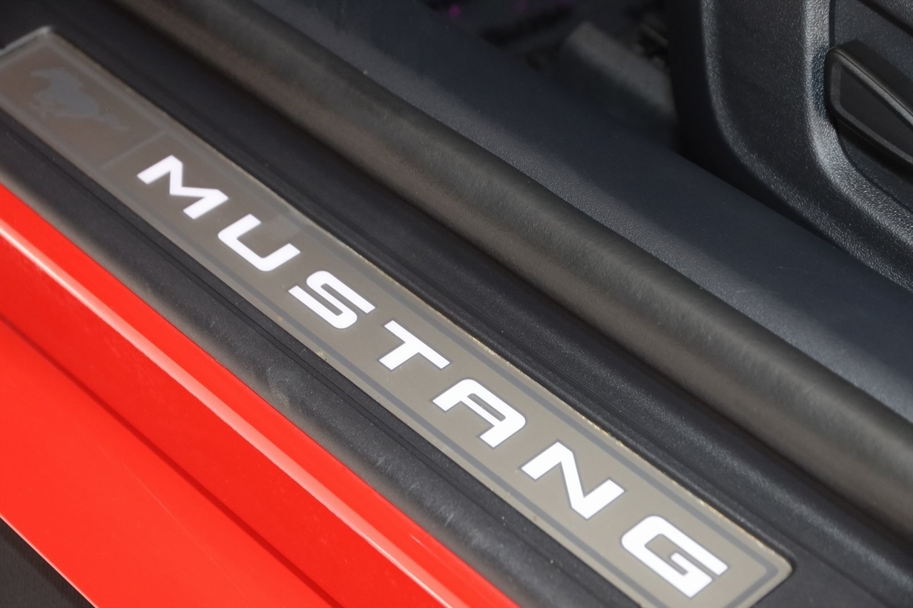Ford Mustang  2024