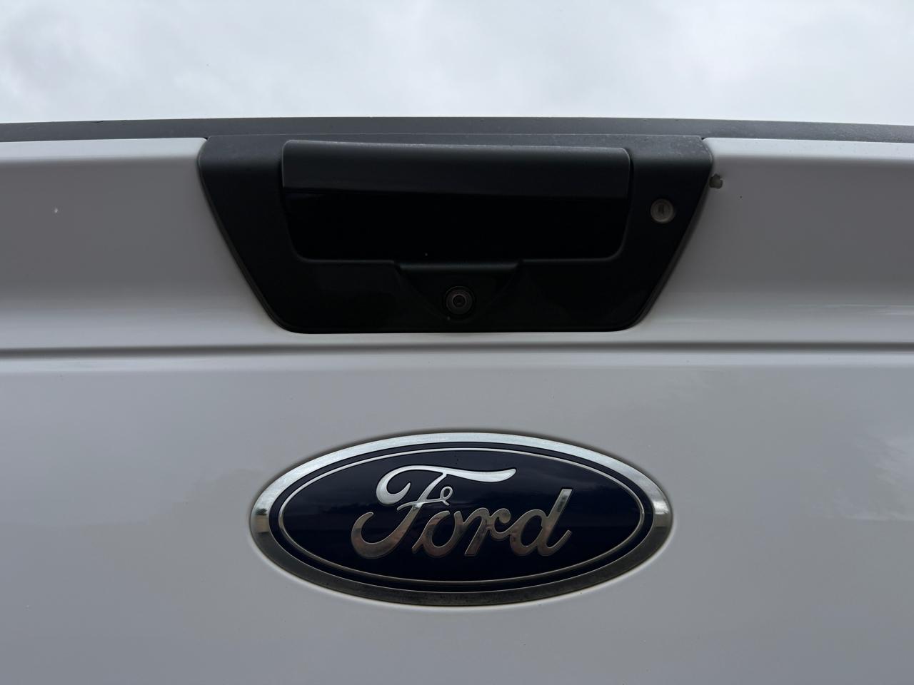 Ford F-150 2WD Reg Cab 122.5" XL 2019