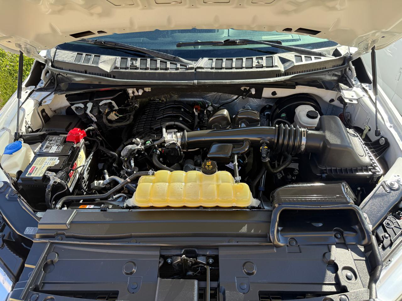 Ford F-150 2WD Reg Cab 122.5" XL 2019