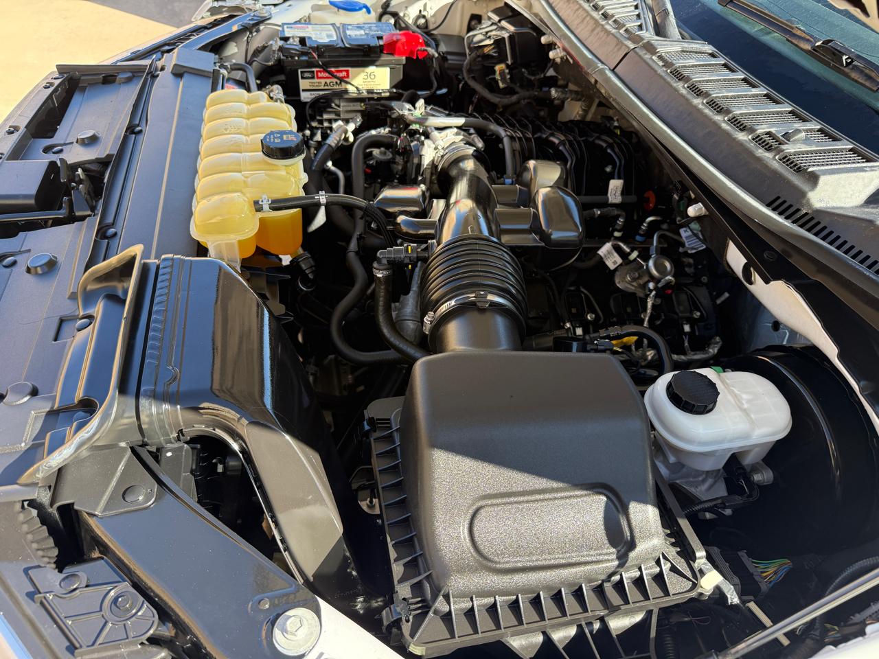 Ford F-150 2WD Reg Cab 122.5" XL 2019