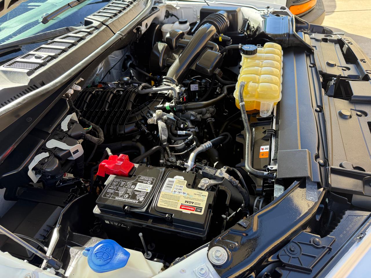 Ford F-150 2WD Reg Cab 122.5" XL 2019