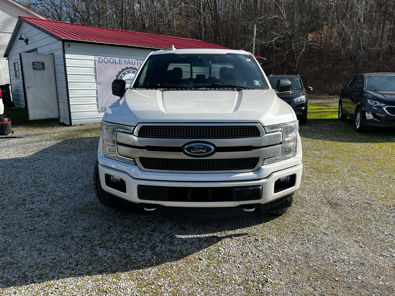 Ford F-150 4WD SuperCrew 145" Platinum 2018