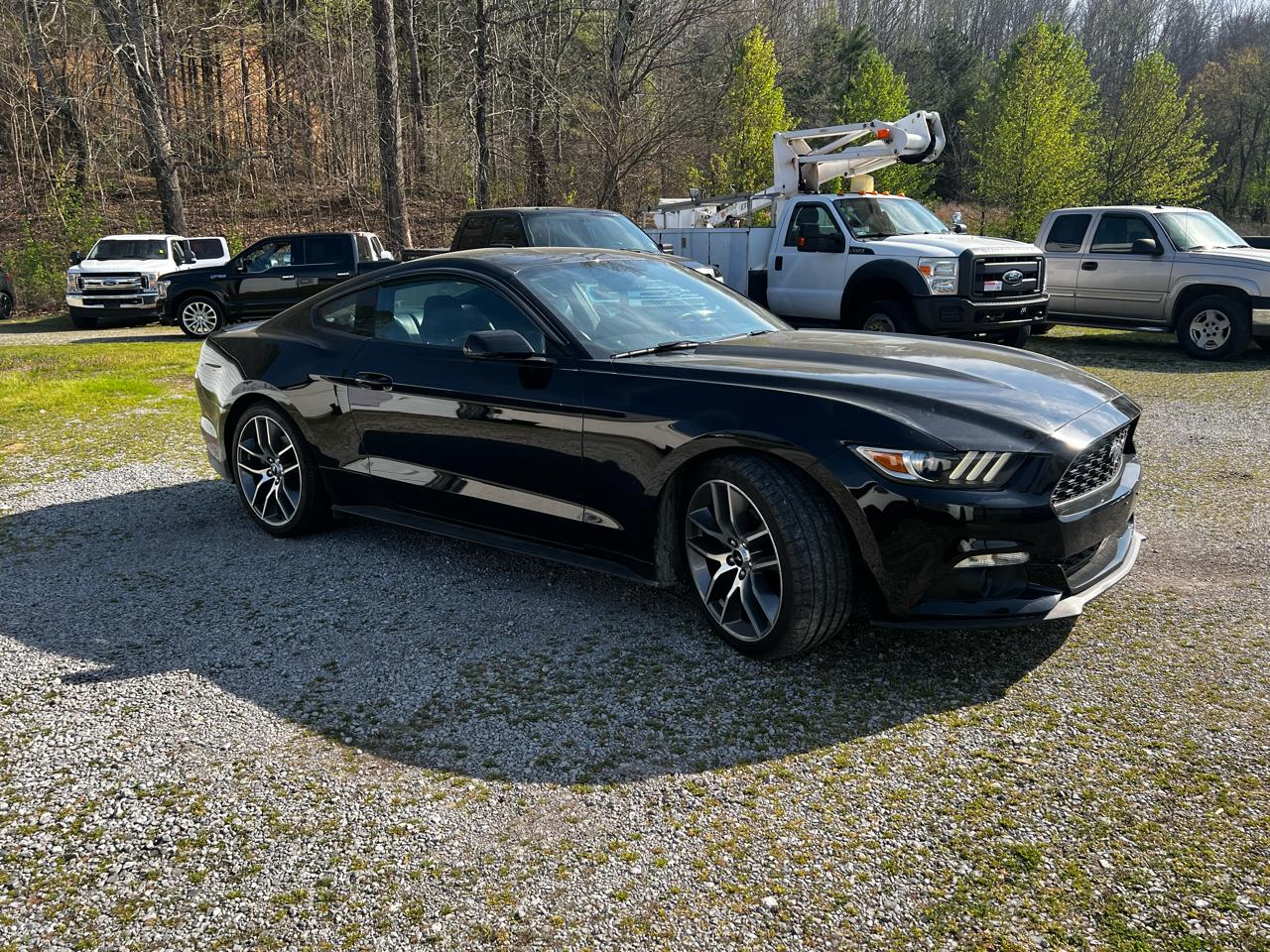 Ford Mustang EcoBoost Coupe 2016