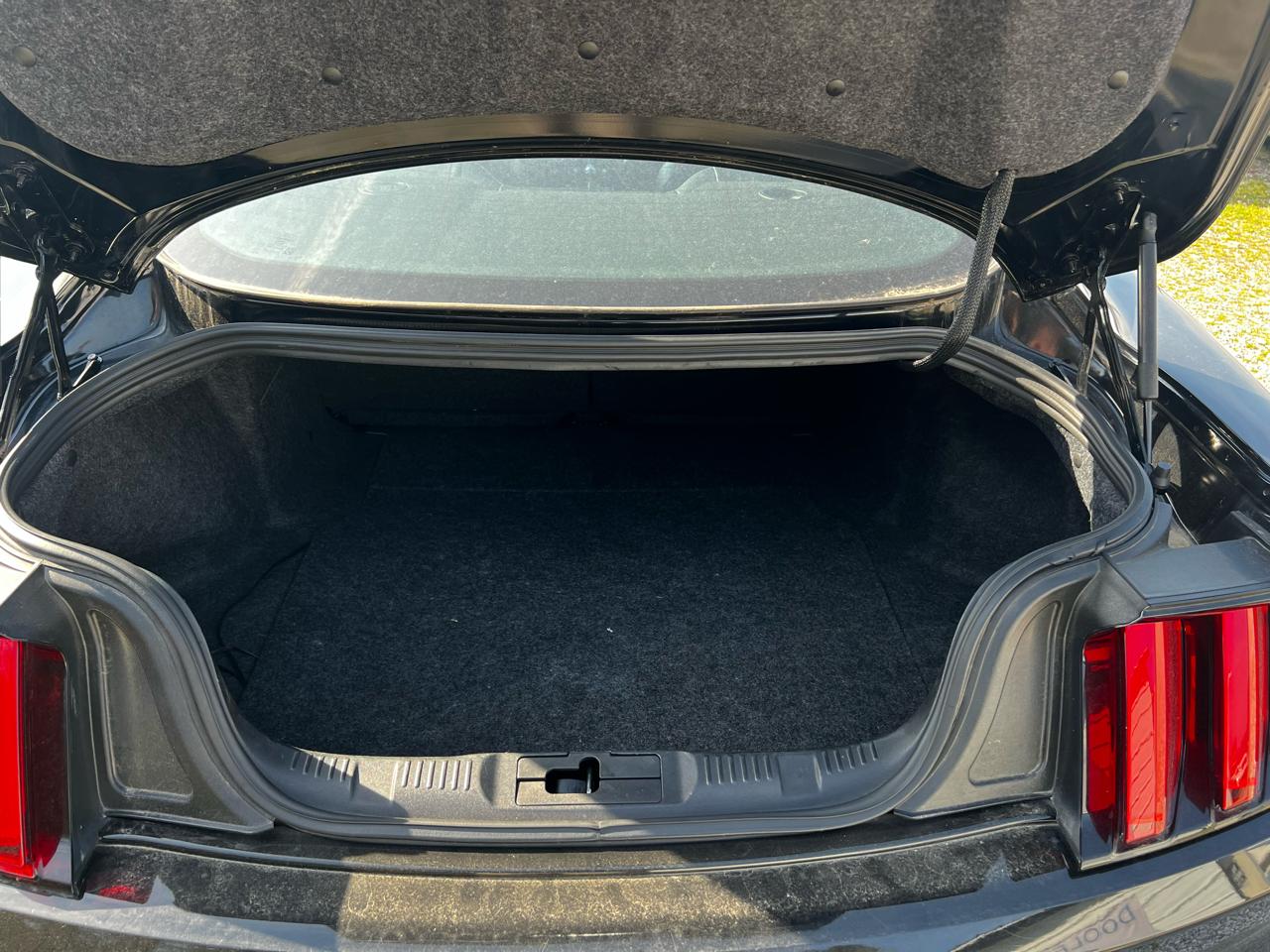 Ford Mustang EcoBoost Coupe 2016