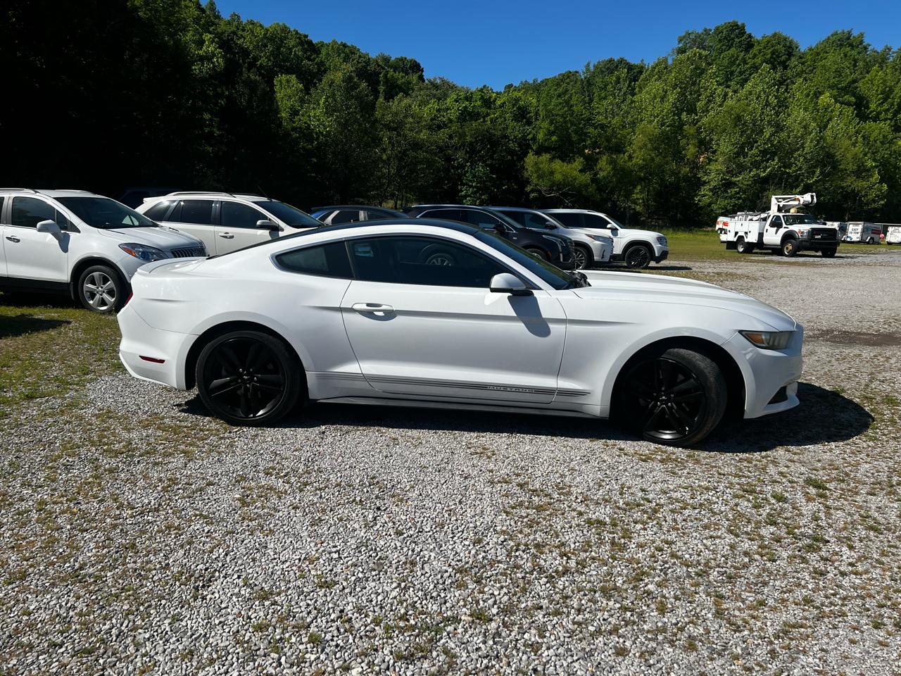 Ford Mustang EcoBoost Coupe 2016