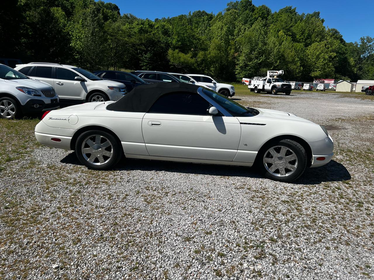 Ford Thunderbird Deluxe 2003
