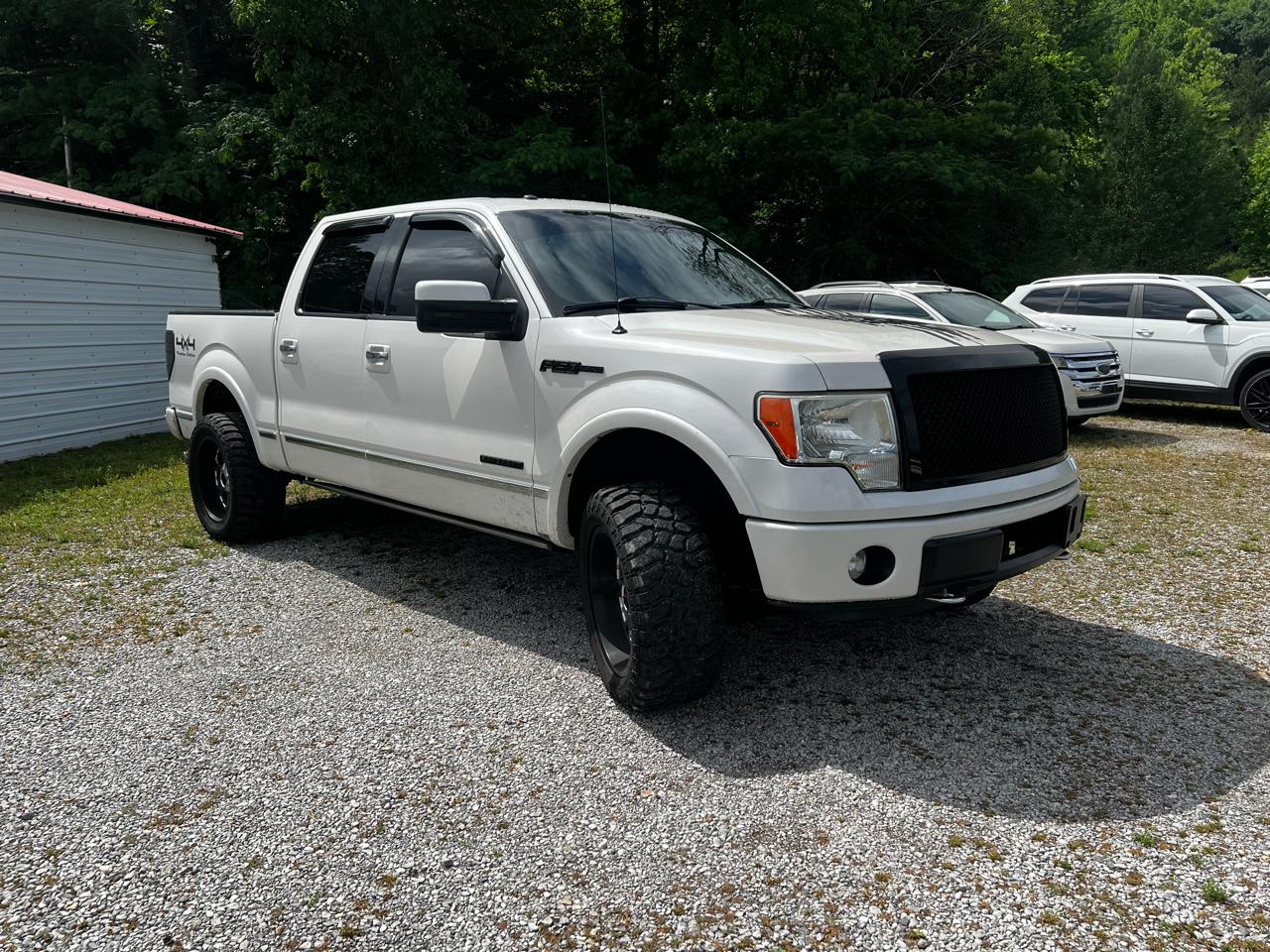 Ford F-150 Platinum SuperCrew 5.5-ft. Bed 4WD 2012