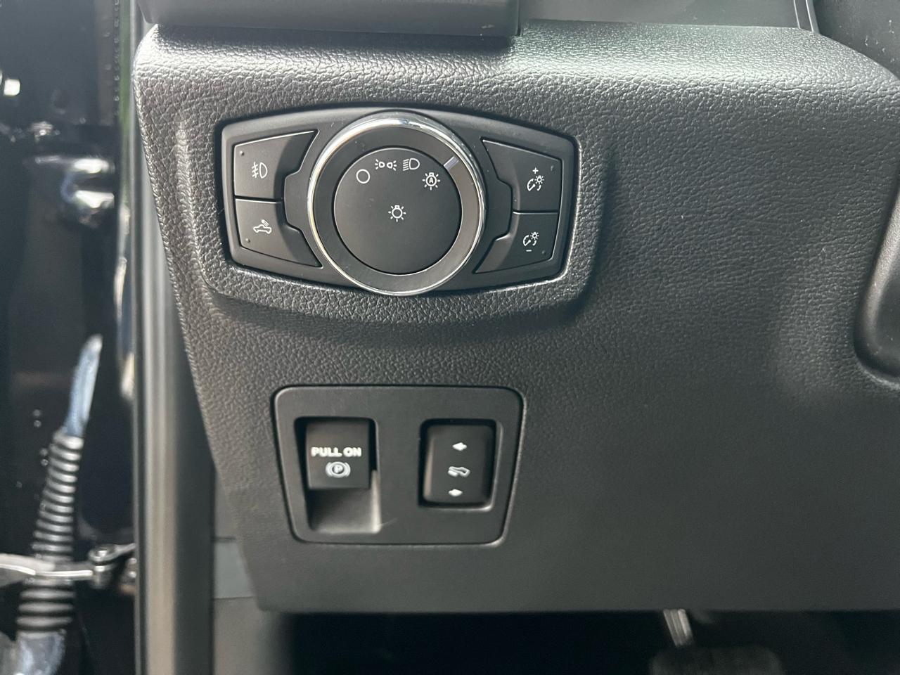 Ford F-150 XLT SuperCrew 6.5-ft. Bed 4WD 2020