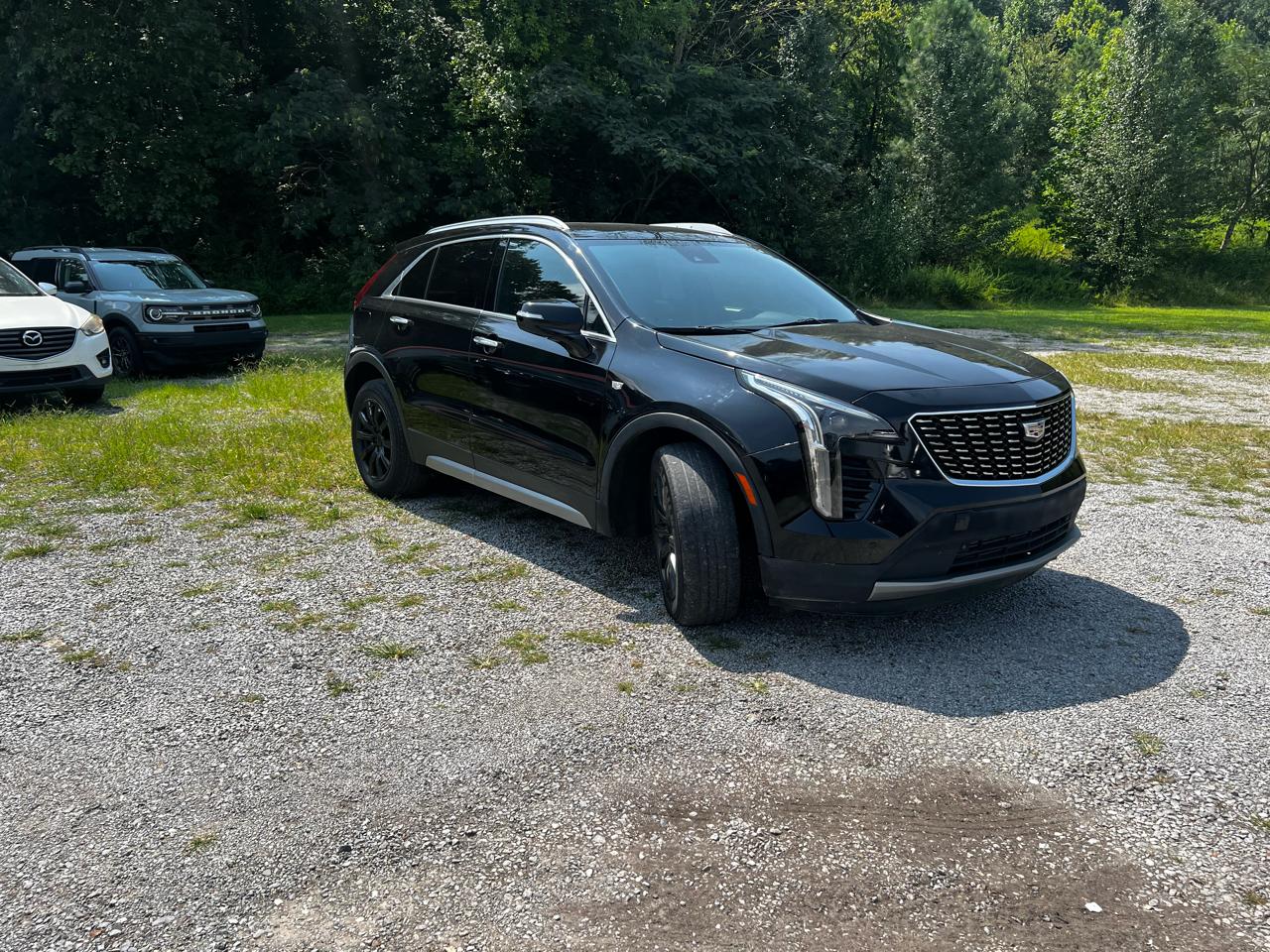 Cadillac XT4 Premium Luxury 2023
