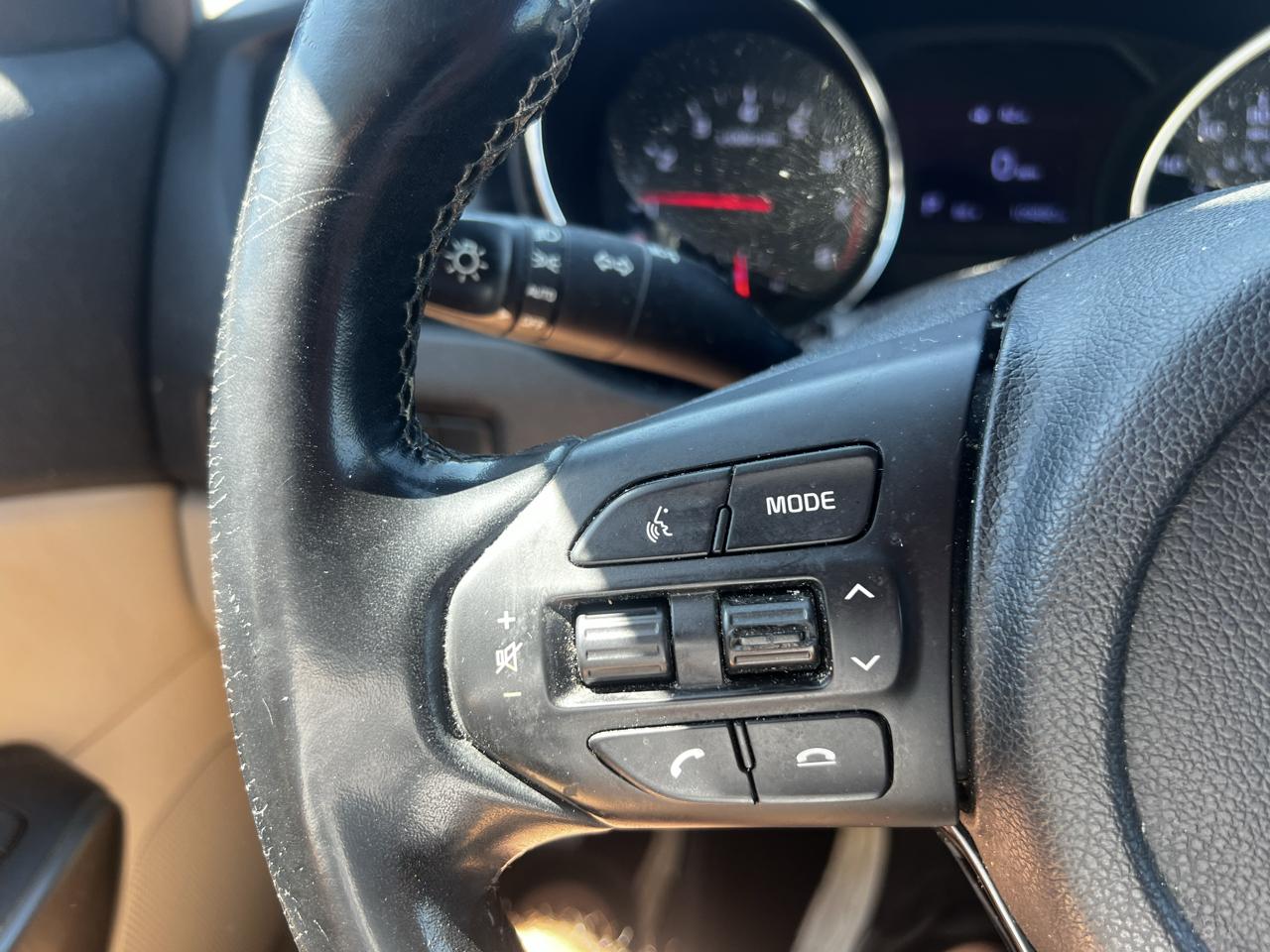 Kia Sedona LX 2019