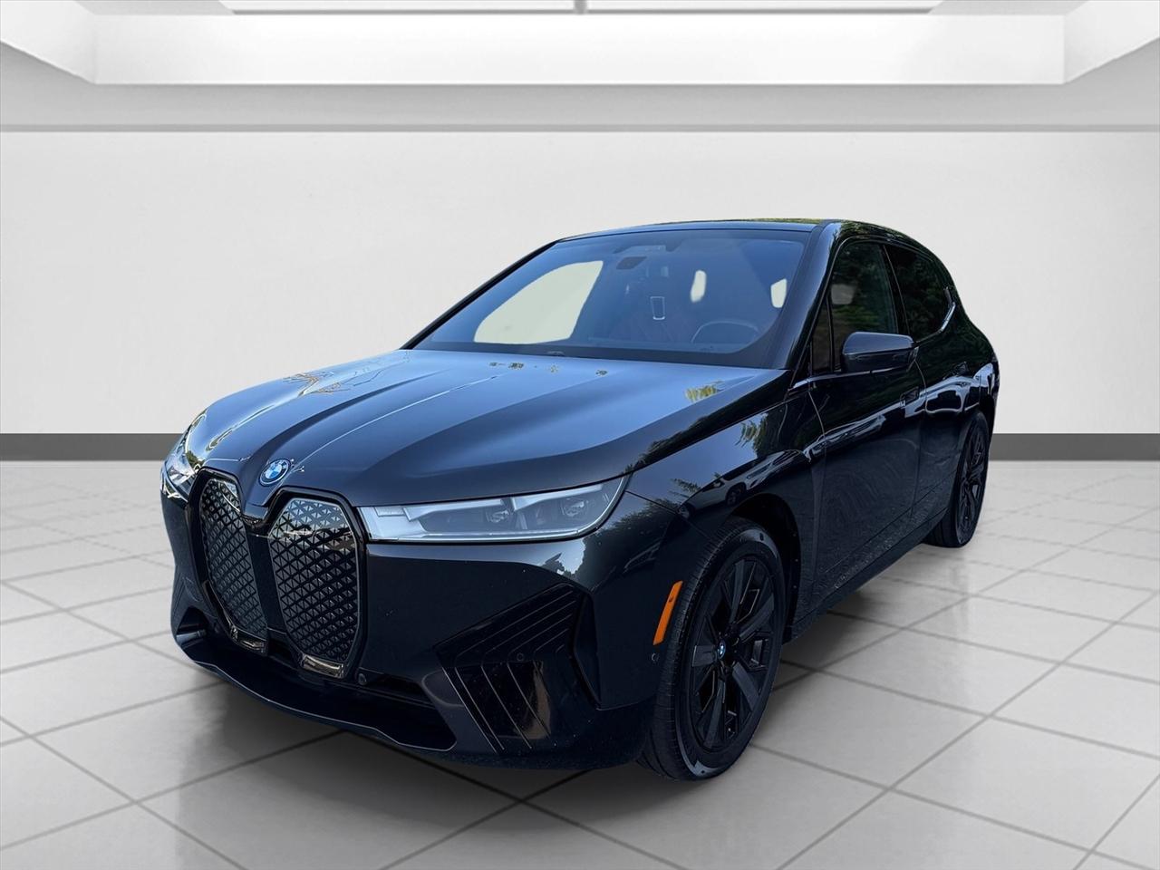BMW iX photo 9