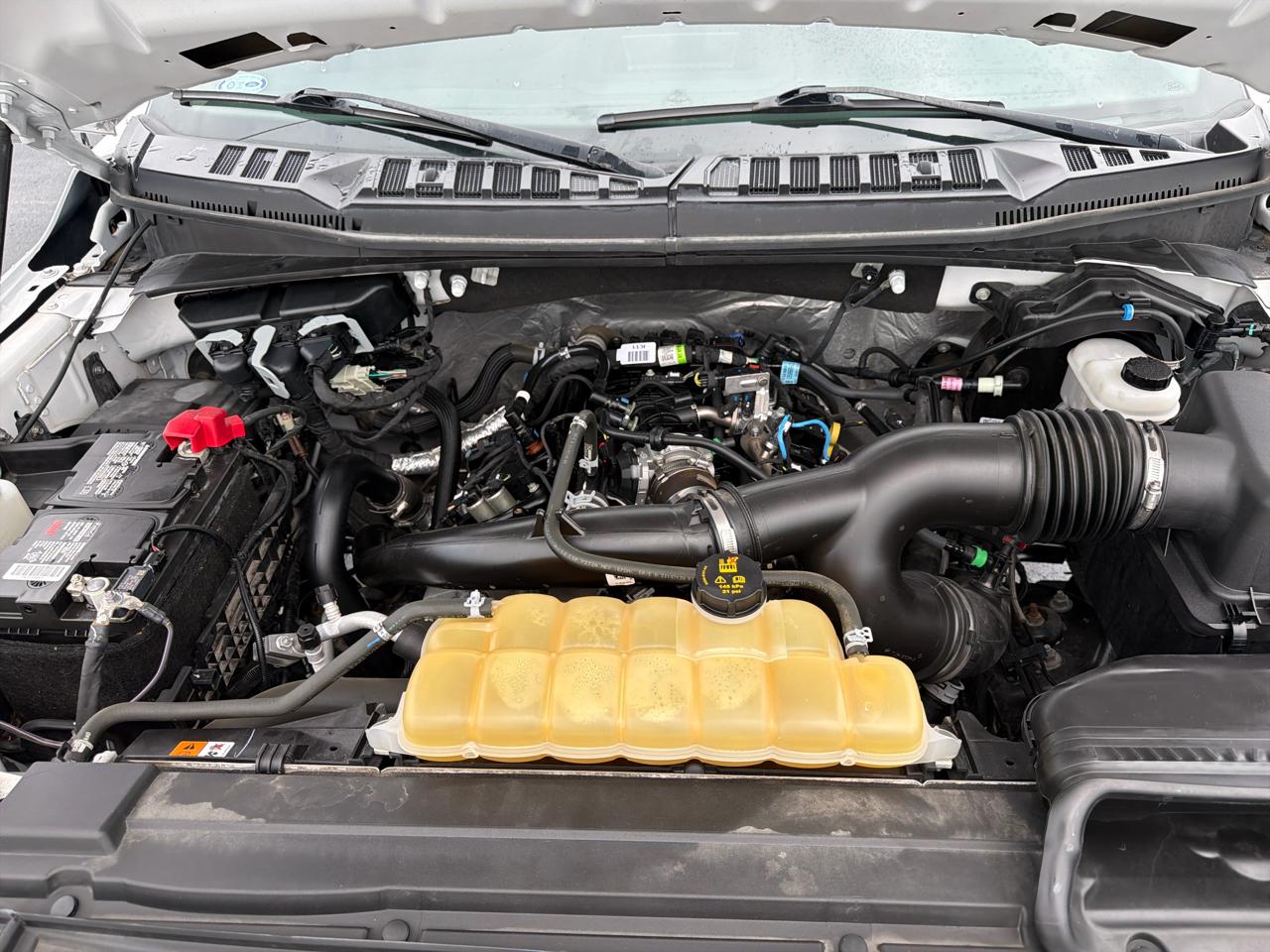 Ford F-150 4WD SuperCrew 145" XL 2020