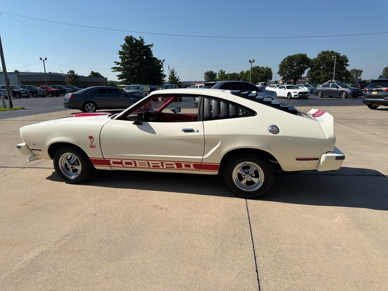 Ford MUSTANG COBRA  1978