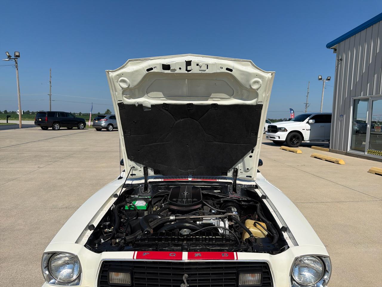 Ford MUSTANG COBRA  1978
