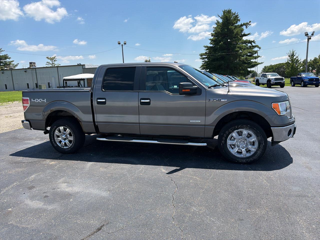 Ford F-150 4WD SuperCrew 145" Platinum 2012