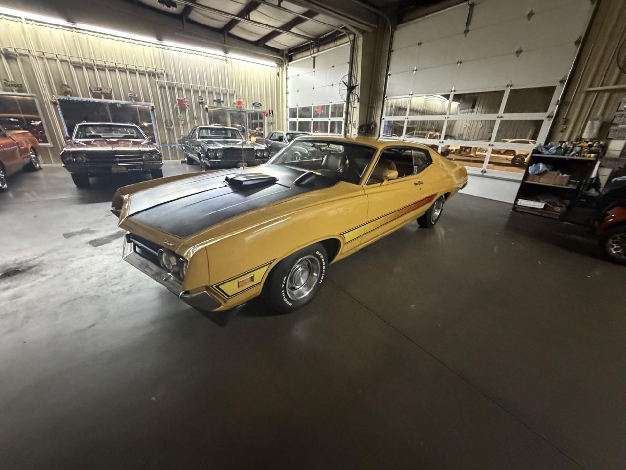 Ford Cobra  1971