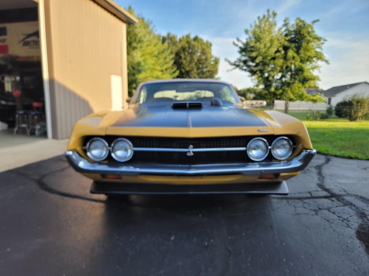 Ford Cobra  1971