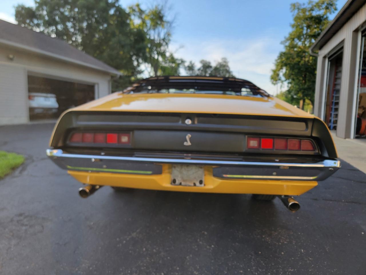 Ford Cobra  1971