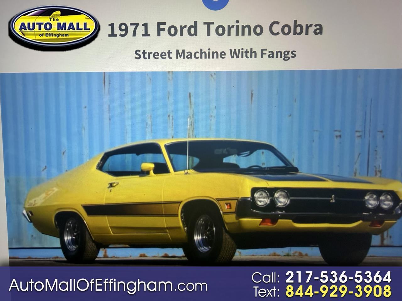 Ford Cobra  1971