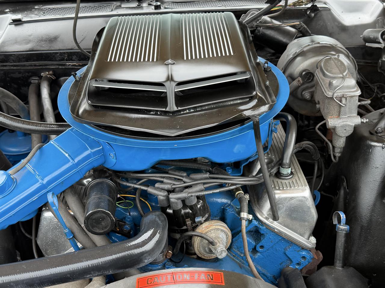 Ford Cobra  1971