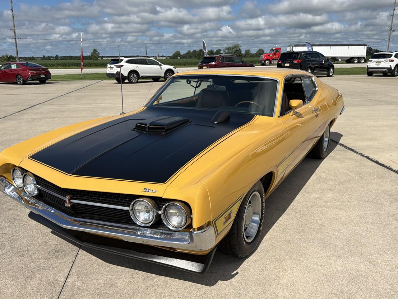 Ford Cobra  1971
