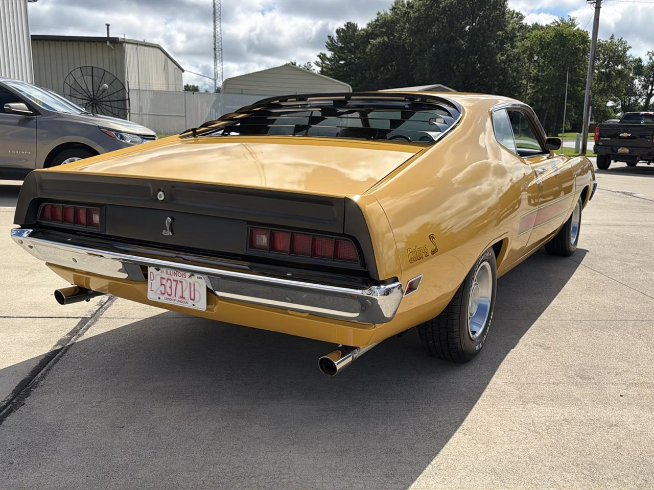 Ford Cobra  1971