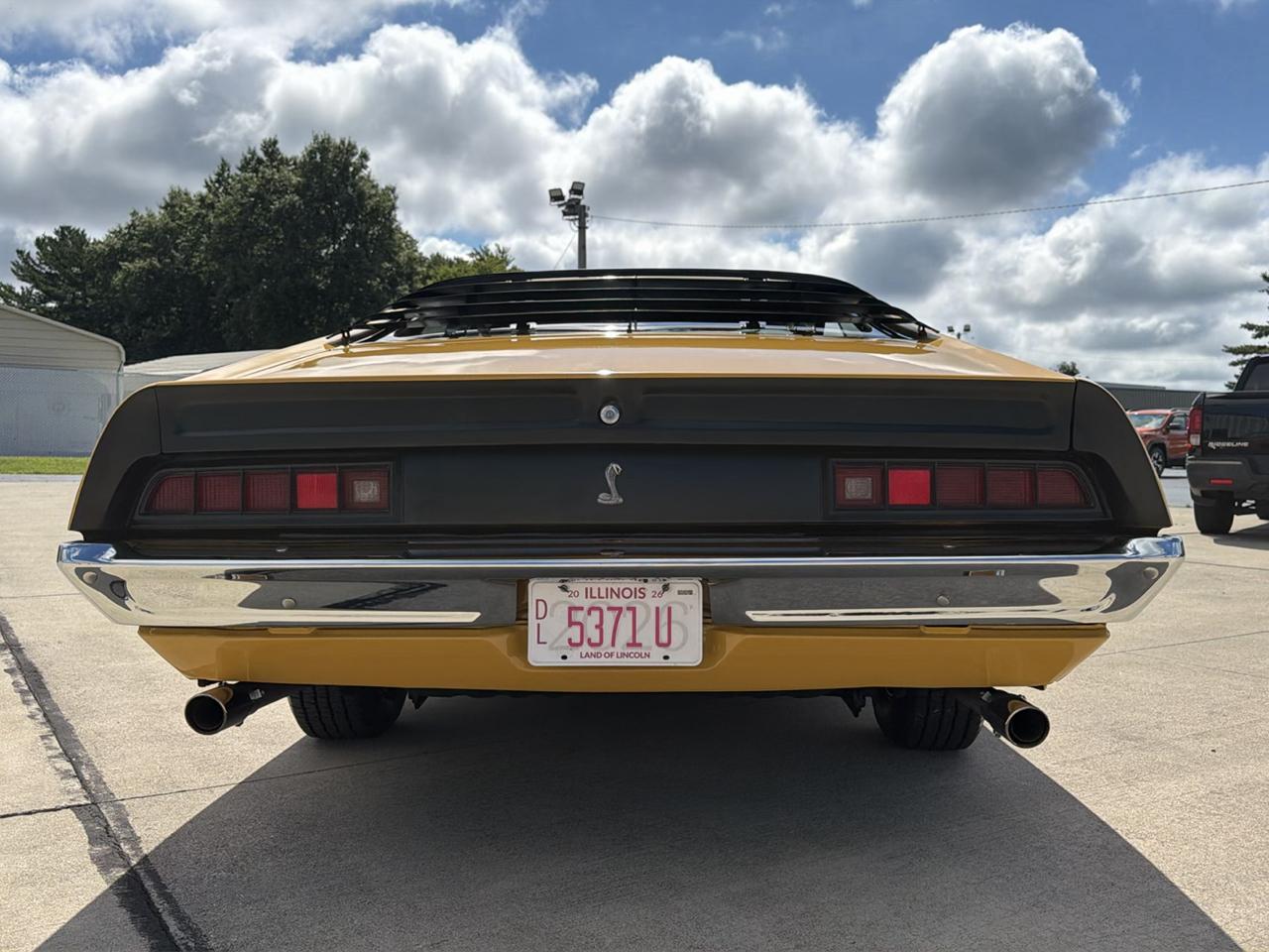 Ford Cobra  1971