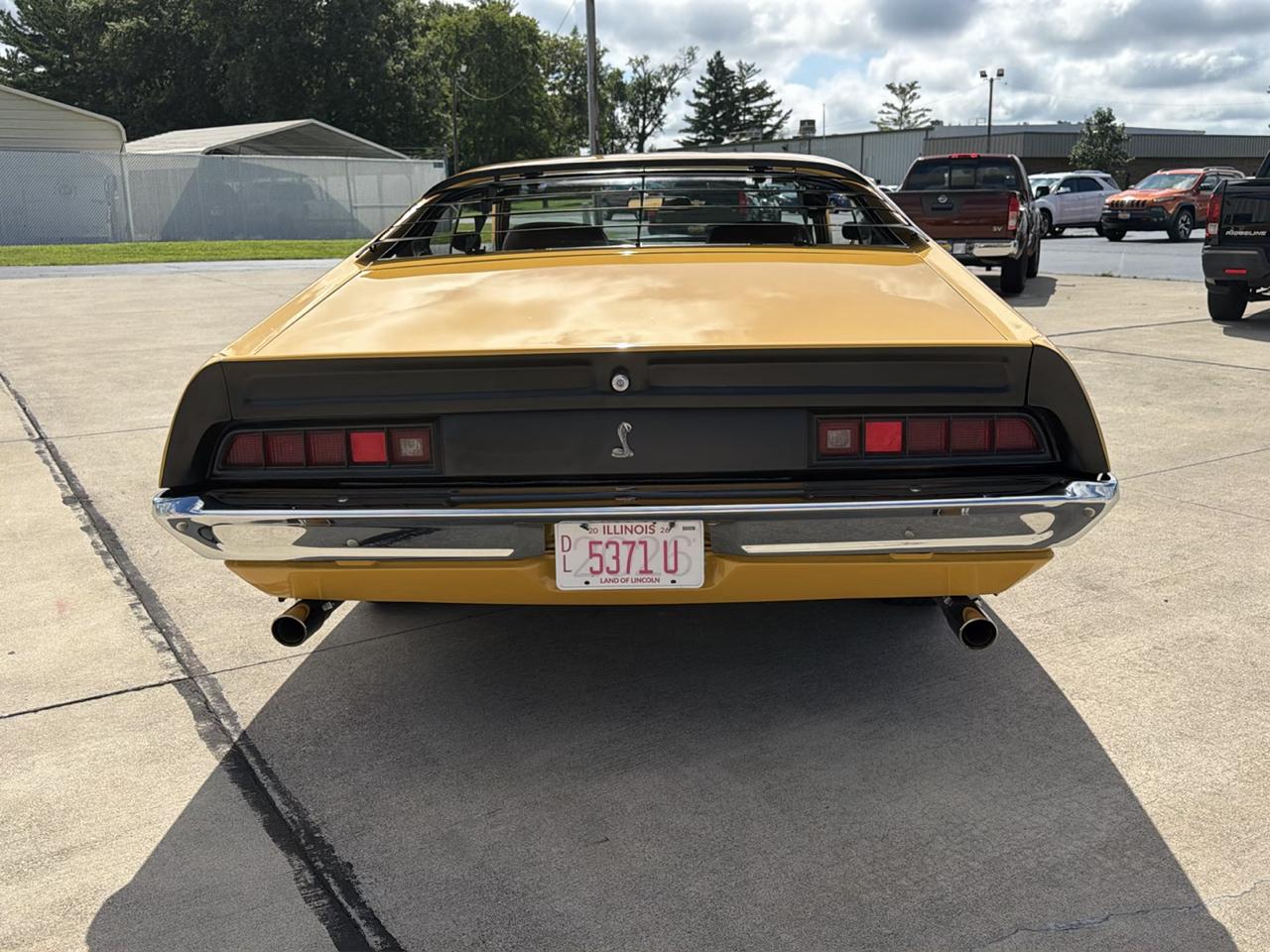Ford Cobra  1971
