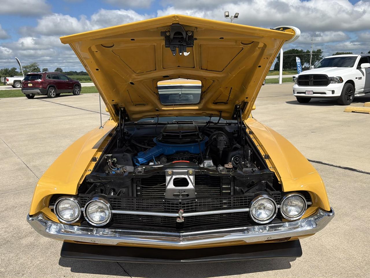 Ford Cobra  1971