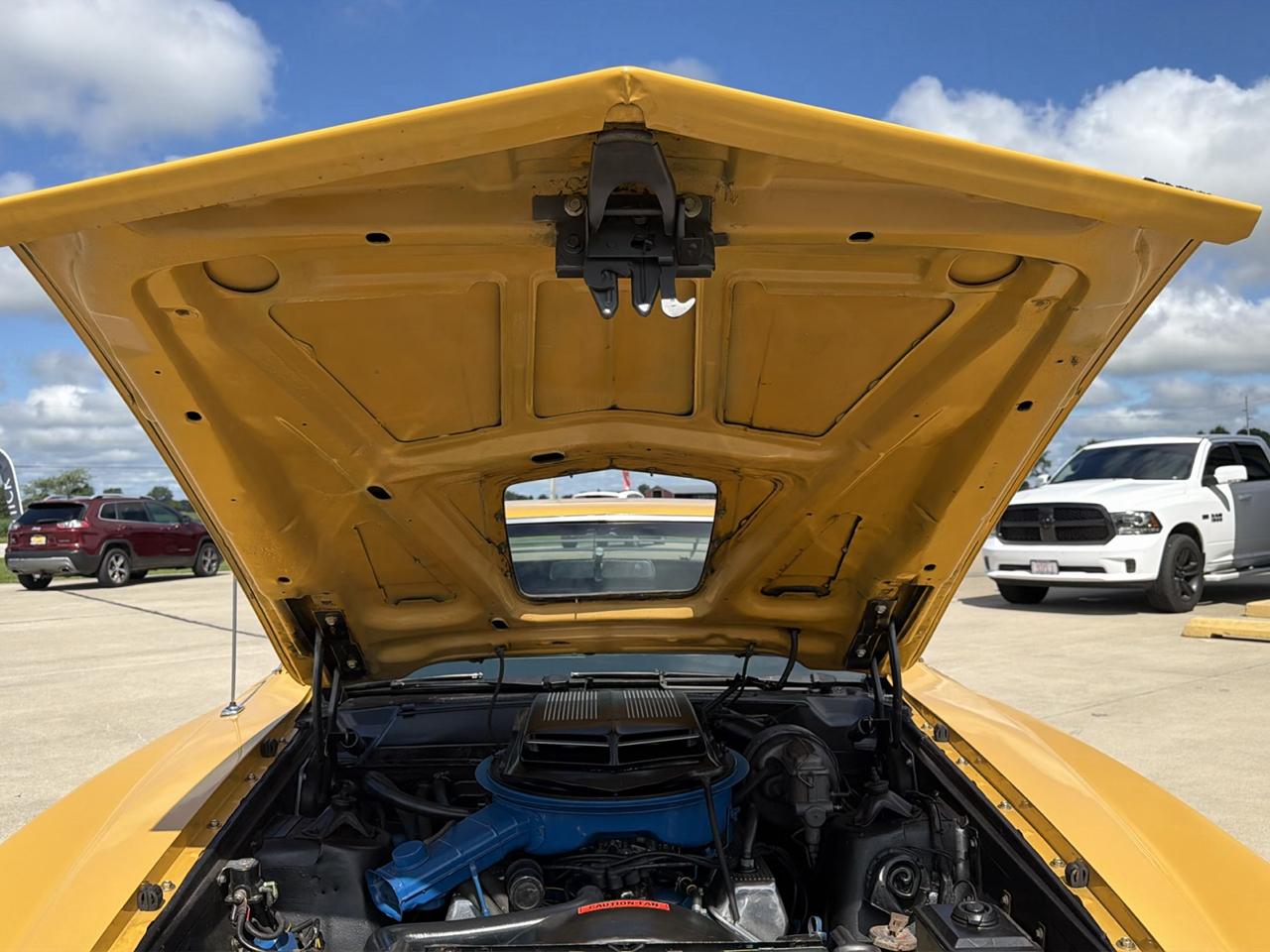 Ford Cobra  1971