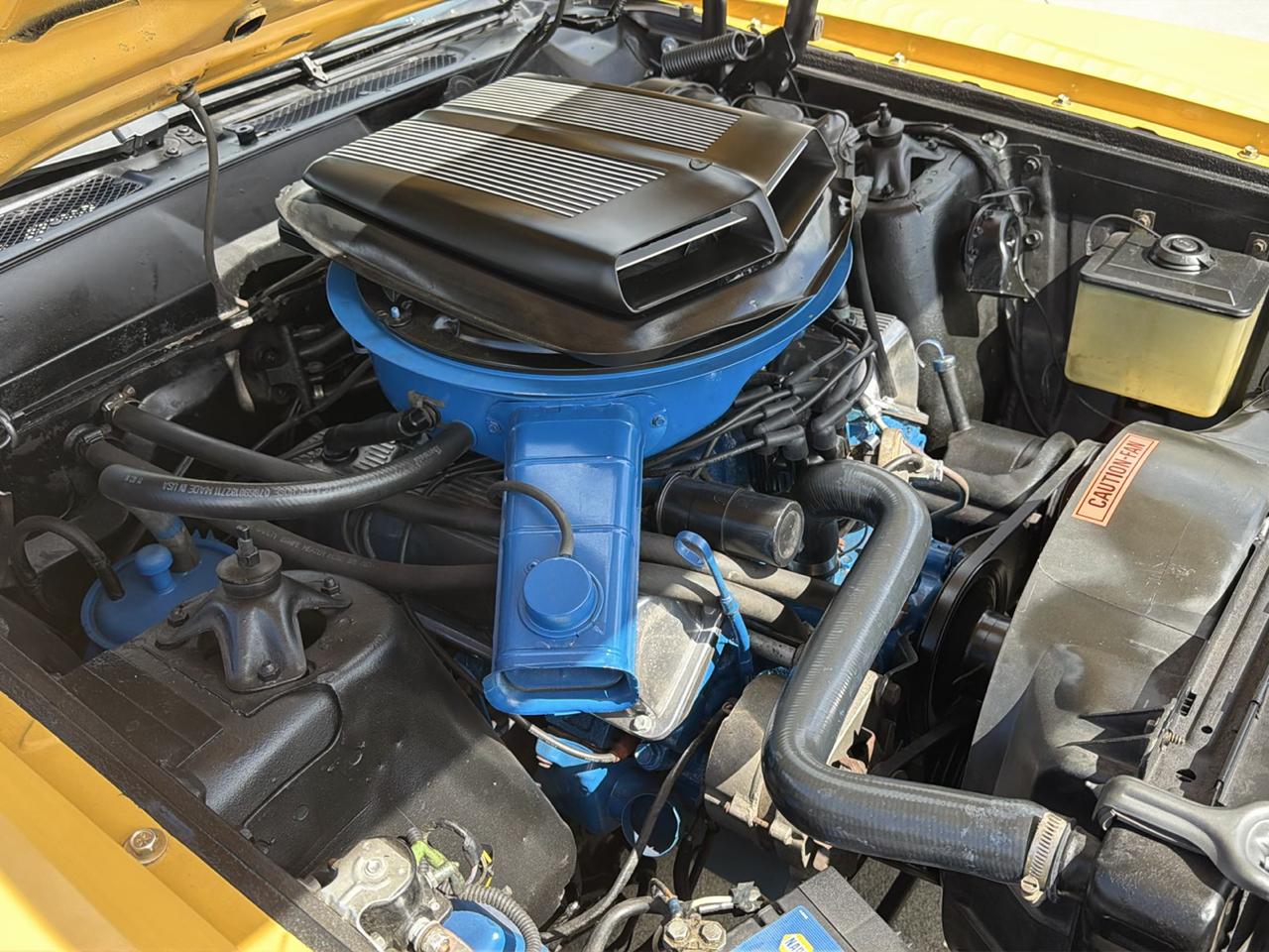 Ford Cobra  1971