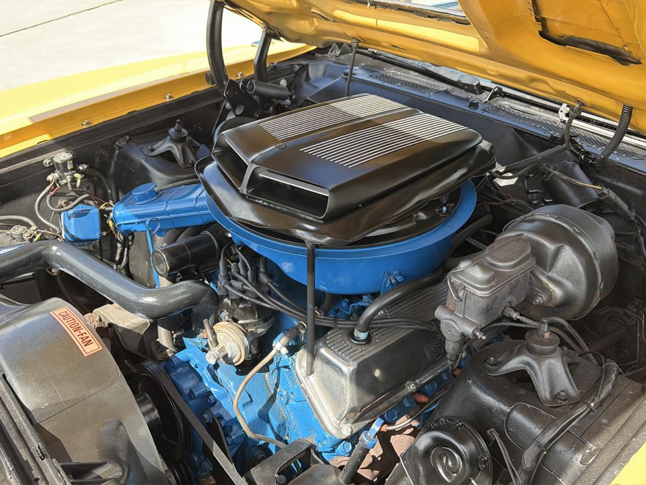 Ford Cobra  1971