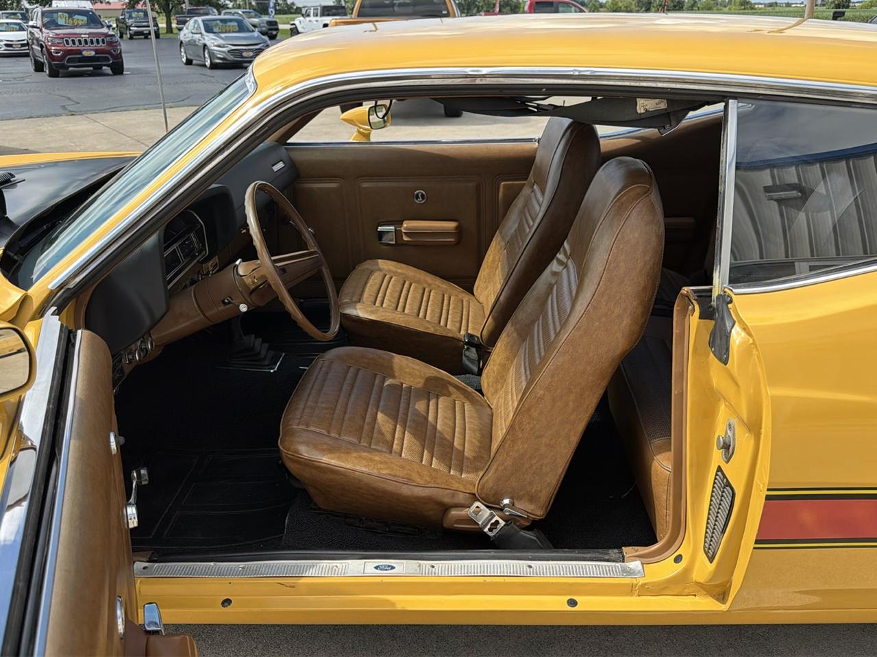 Ford Cobra  1971