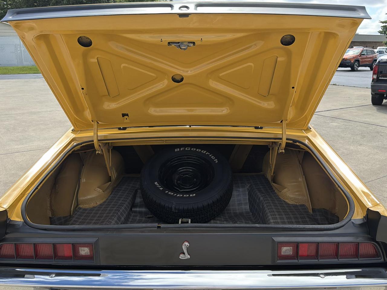 Ford Cobra  1971