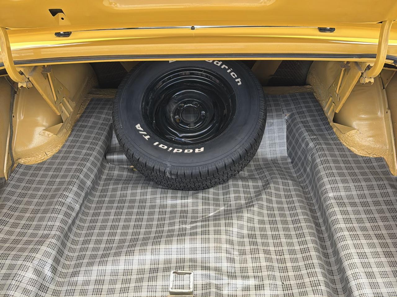 Ford Cobra  1971