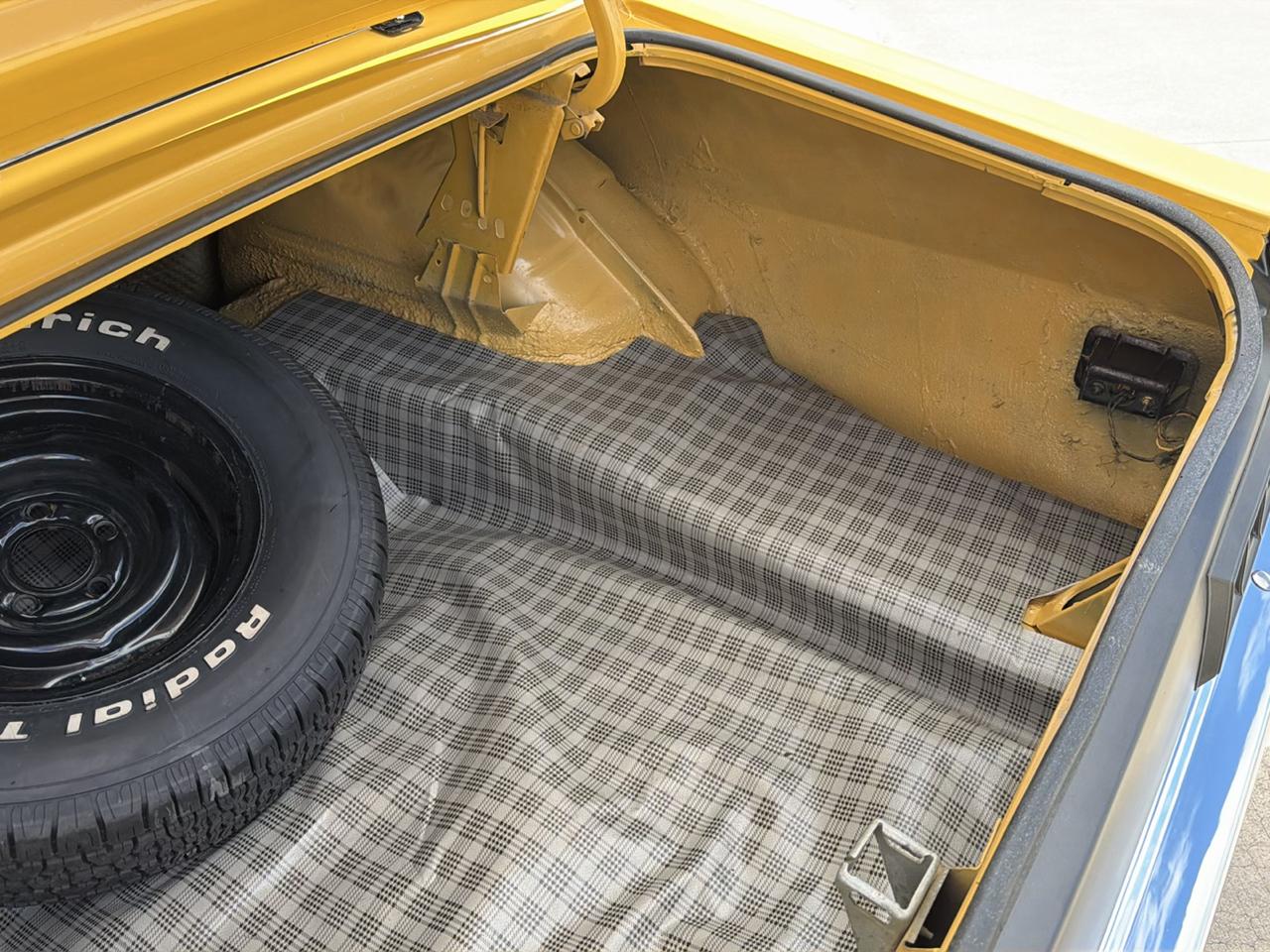 Ford Cobra  1971