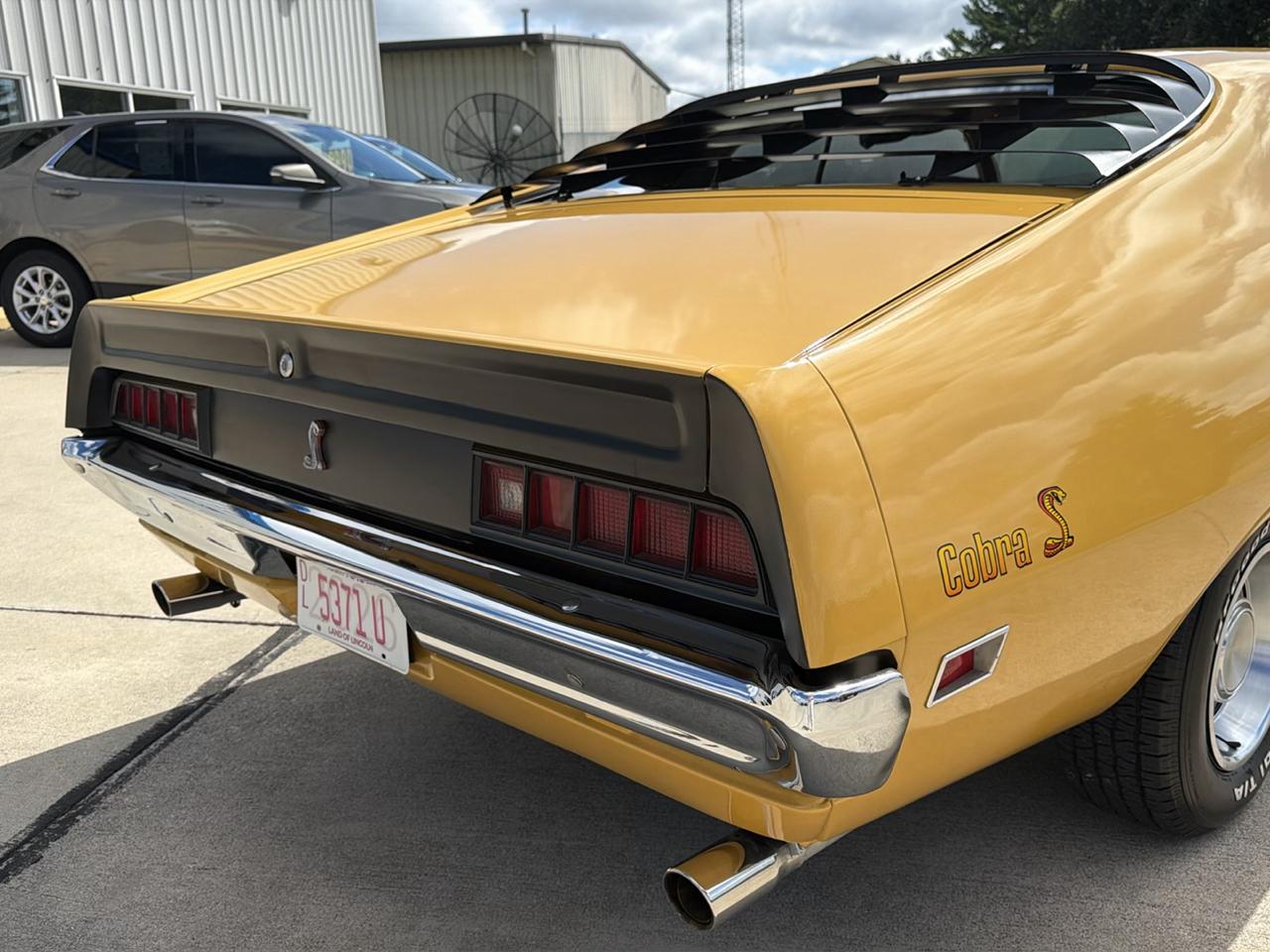 Ford Cobra  1971