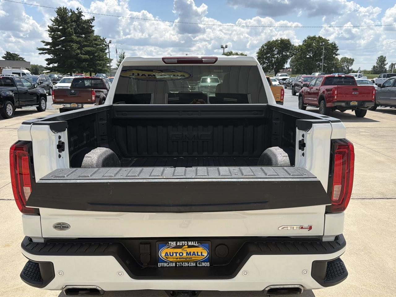 GMC Sierra 1500 4WD Crew Cab 147" AT4 2025