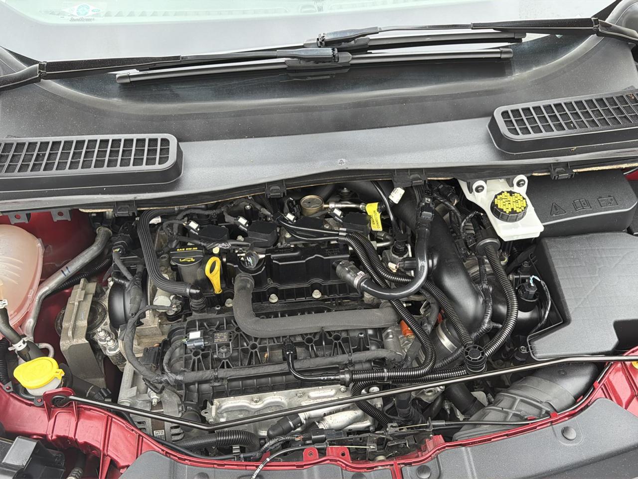 Ford Escape SE FWD 2019