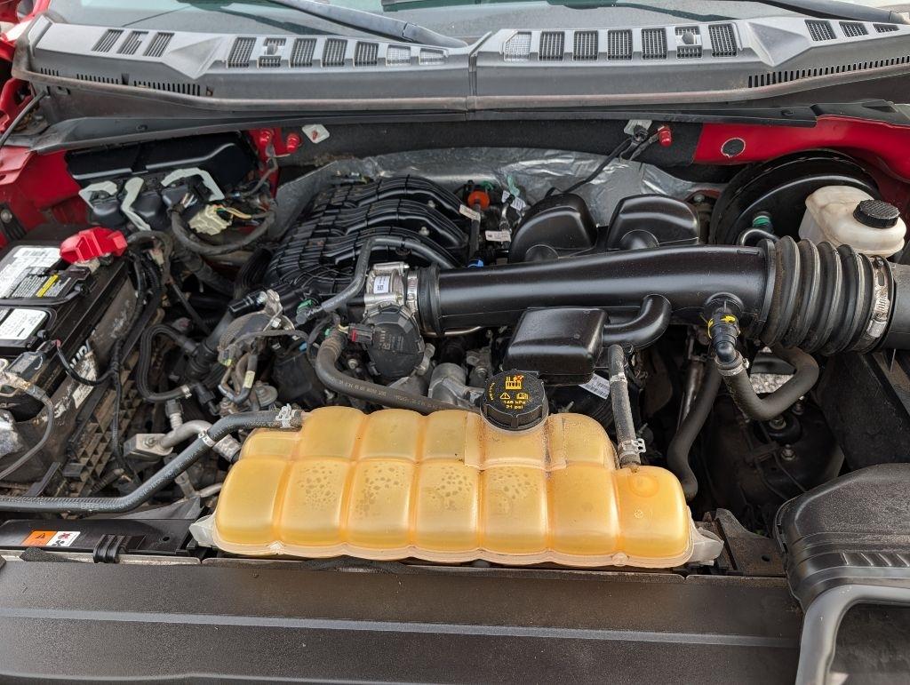 Ford F-150  2019