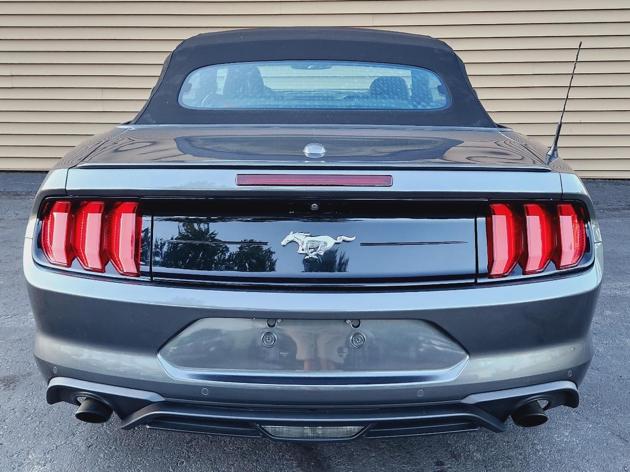 Ford Mustang EcoBoost Convertible 2019