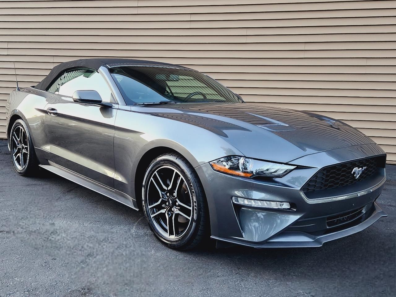 Ford Mustang EcoBoost Convertible 2019