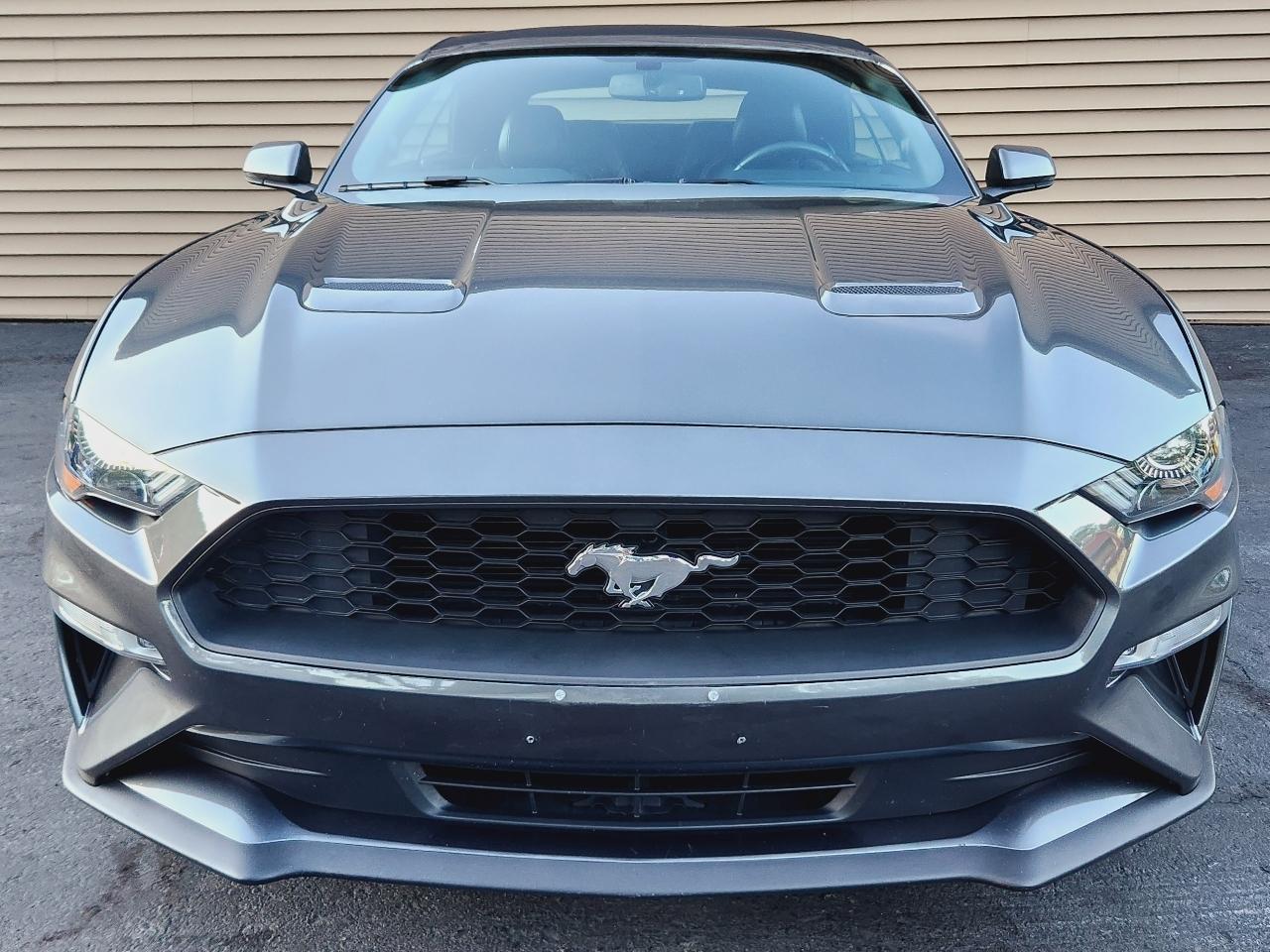 Ford Mustang EcoBoost Convertible 2019